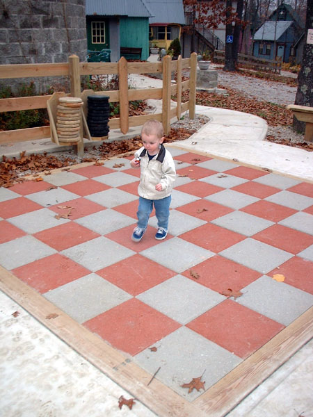 Atticus plays checkers.jpg 96.1K